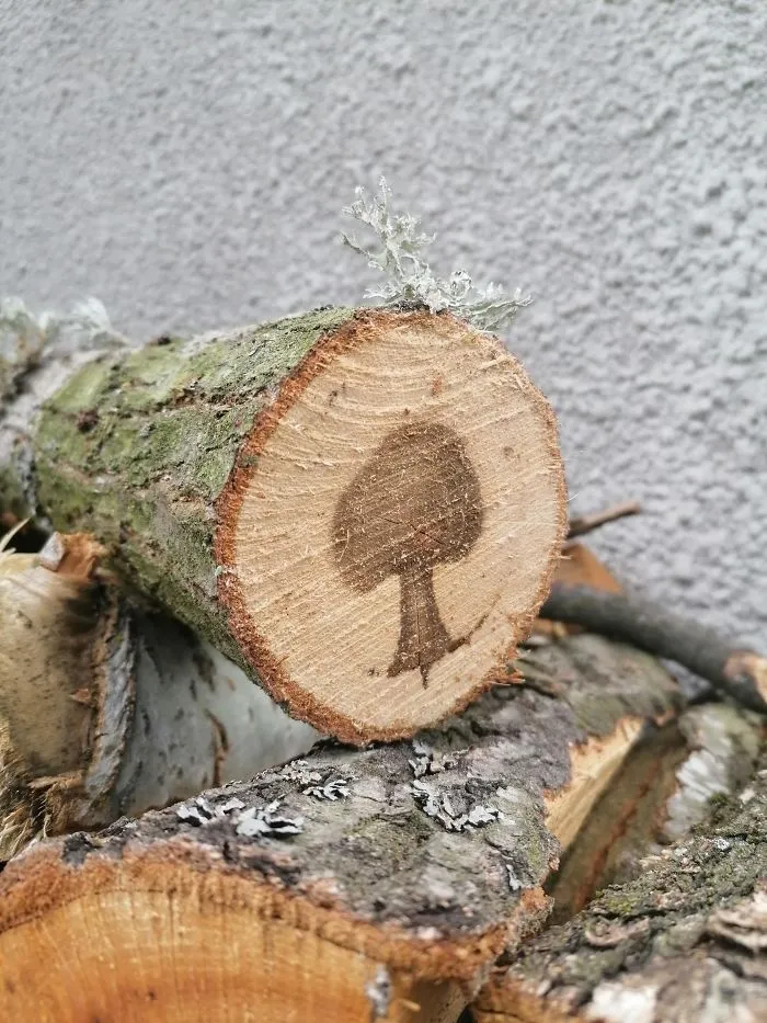 Árbol dentro de otro árbol