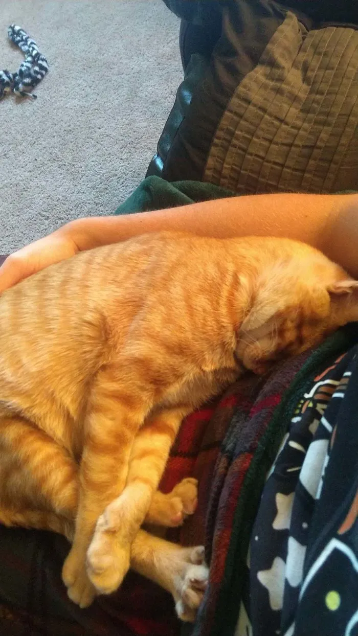 1 hora después de adoptarlo