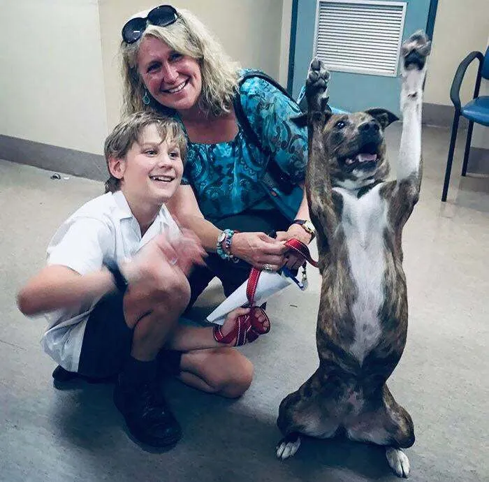 Perro feliz de ser adoptado