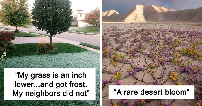 50 'Mildly Interesting' Things Spotted In Nature That Are Actually Surprising