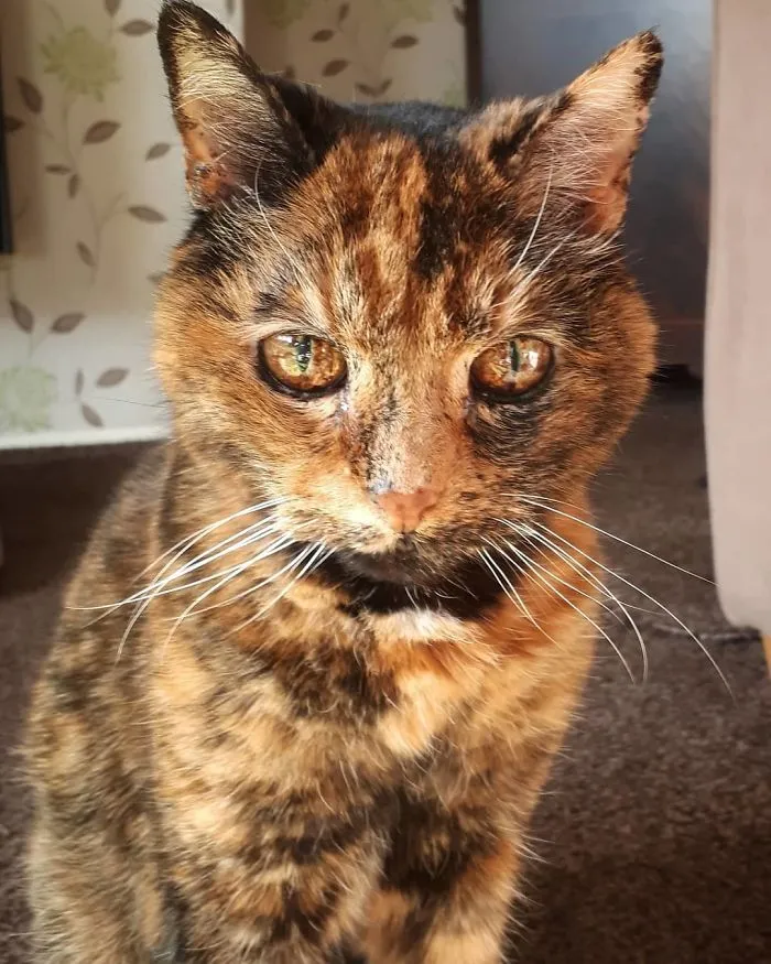 Mi preciosa Mia de 18 años con los ojos de Sauron