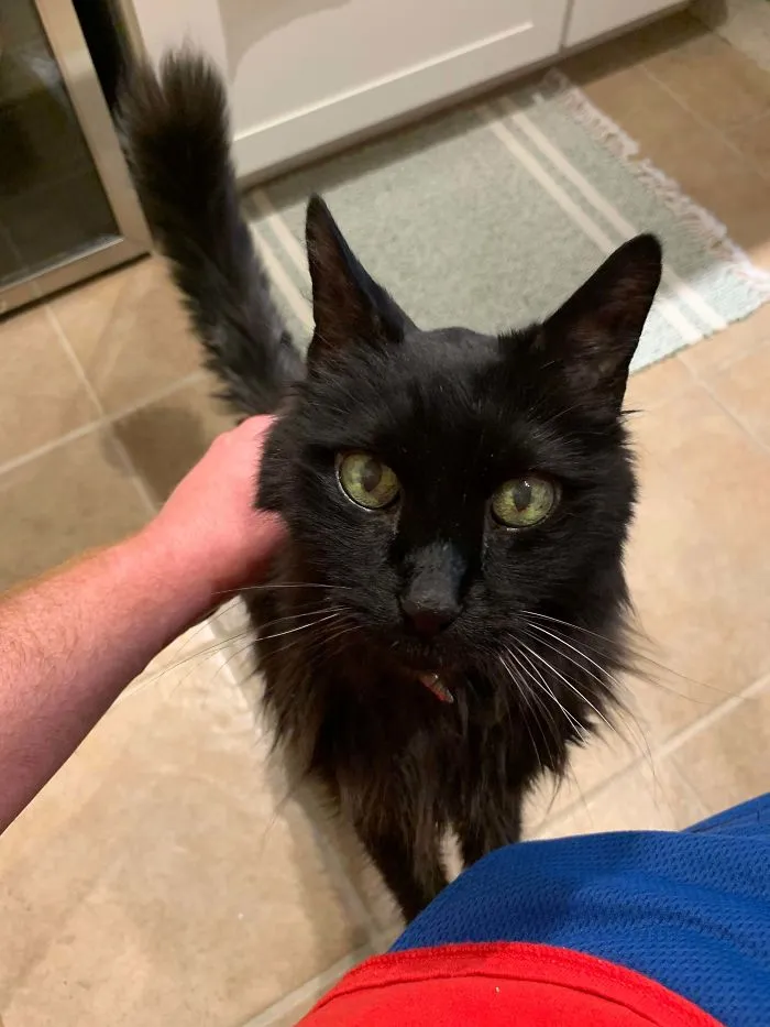 This Guy Has Been By My Side For Twenty Years Today. He Helped Me Through Some Rough Times