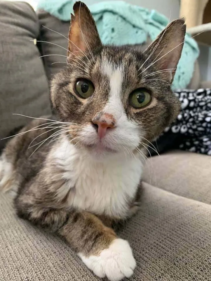 Este es Thomas, tiene 27 años