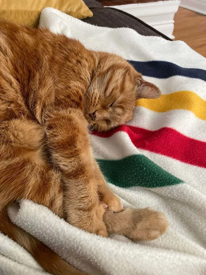 19 años y se sigue agarrando una pata al dormir