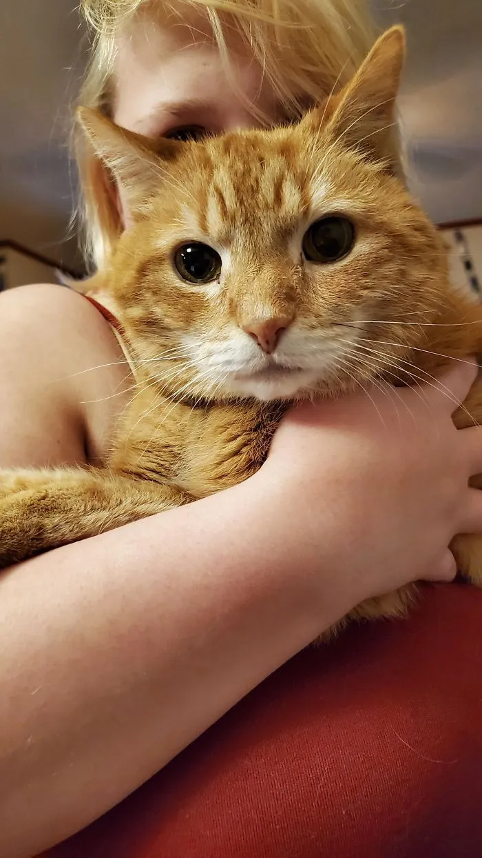 My Old Man (19) Was Just Diagnosed With Kidney Failure. Prayers And Good Thoughts For Tigger