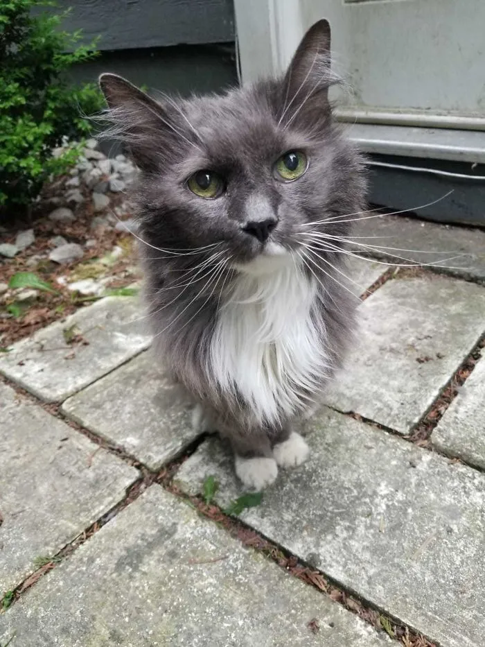 20 años y sigue adorable