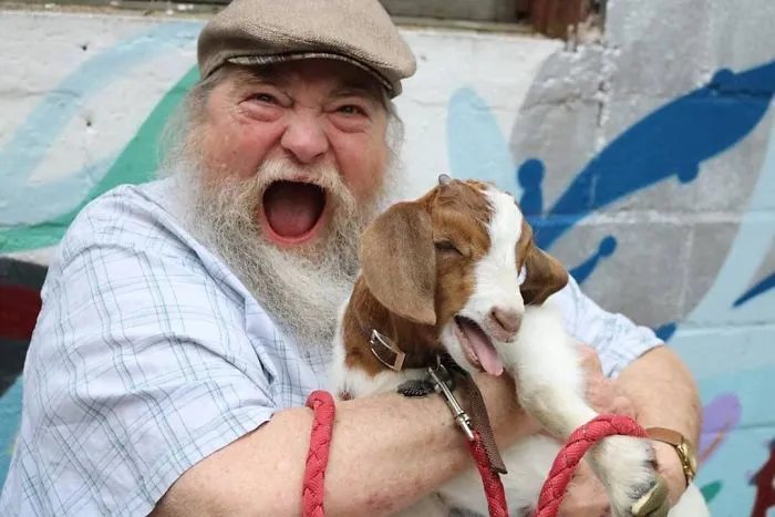 Ayer mi padre pudo sostener a un cabritillo de 3 semanas