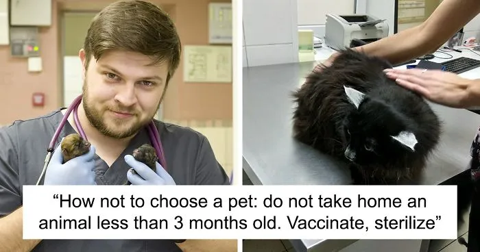 Vet Gives Top 10 Tips So That Everyone's Pet Can Live A Long And Happy Life