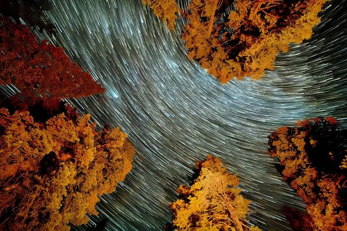 I Pointed My Camera Straight Up And Left The Shutter Running For An Hour To See What Would Happen. Didn't Expect A Flowing River Of Stars
