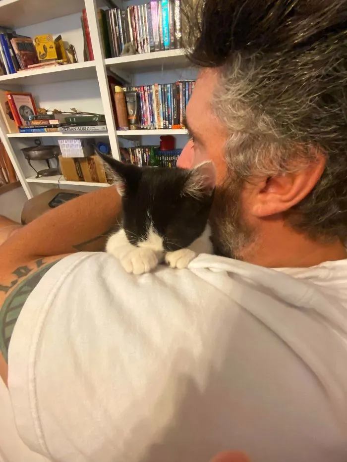 Mi marido: "No nos vamos a quedar al gato callejero". Mi marido, ahora: "No despiertes a Oliver"