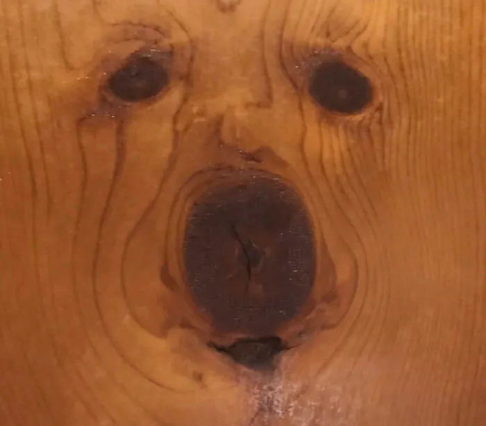 The Way This Knot In My Wall Looks Like A Dog
