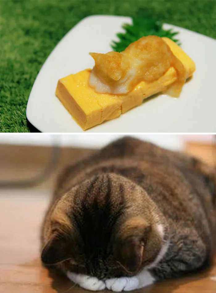 This Japanese Artist Creates Food Art And Here Are 11 Of The Best Pieces