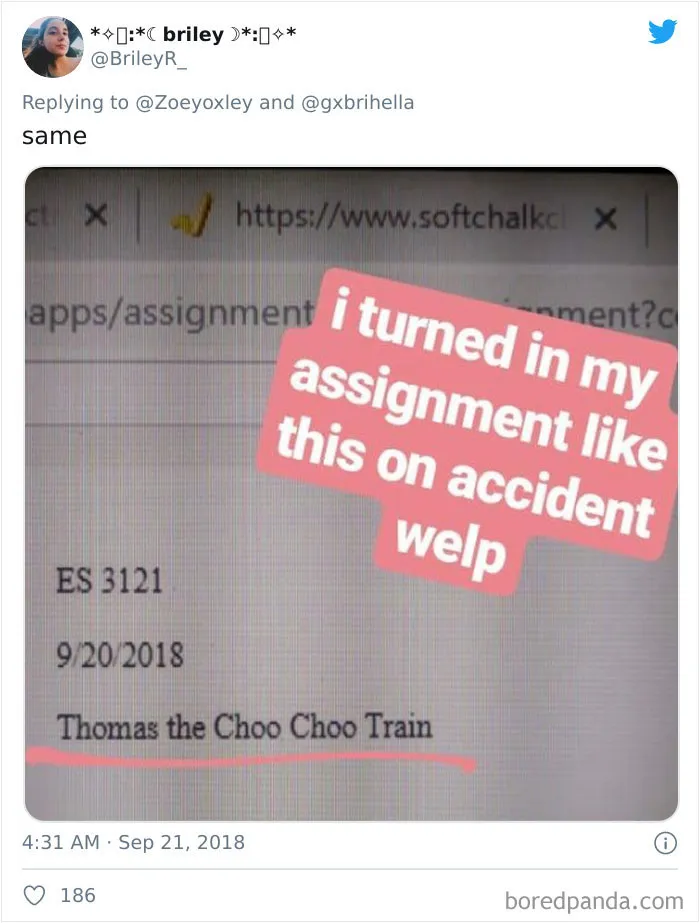 32 Times Students Didn't Proofread Their Work And Left In The Funniest Mistakes