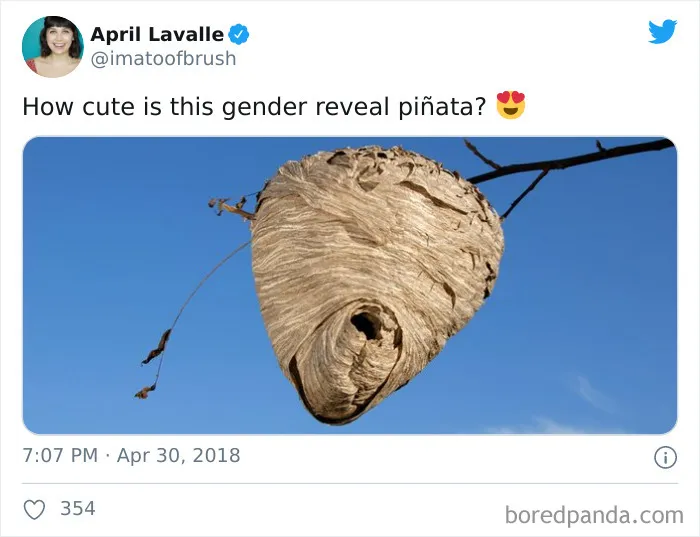 45 Of The Most Savage 'Gender Reveal Party' Memes After People Learned It Was The Cause Of An Apocalyptic Wildfire In California