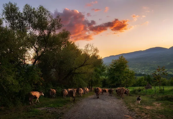 I Spent Summer In My Hometown Maramures, Which Looks Like A Fairy Tale (28 Pics)