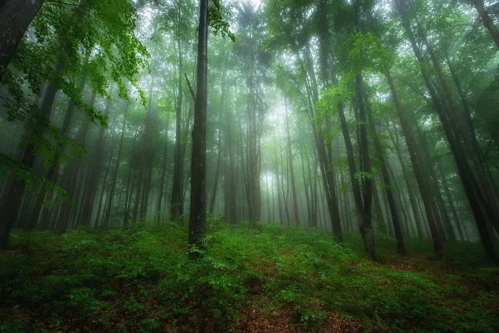 I Spent Summer In My Hometown Maramures, Which Looks Like A Fairy Tale (28 Pics)