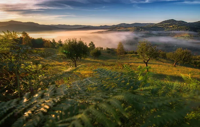 I Spent Summer In My Hometown Maramures, Which Looks Like A Fairy Tale (28 Pics)