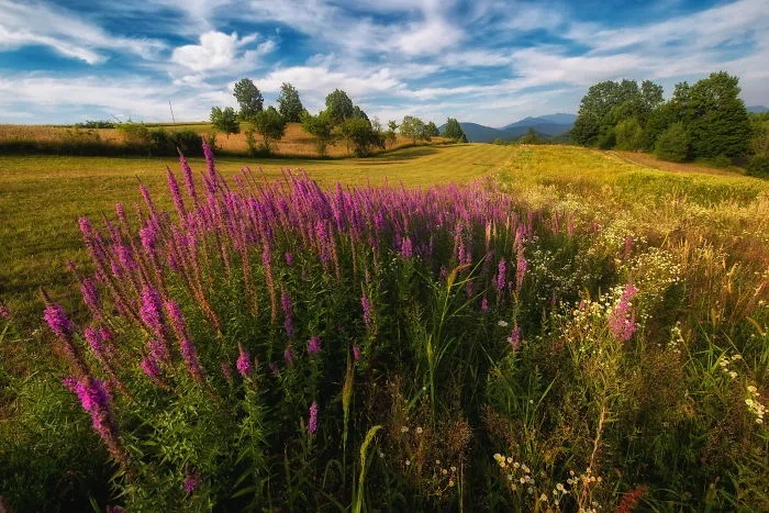 I Spent Summer In My Hometown Maramures, Which Looks Like A Fairy Tale (28 Pics)