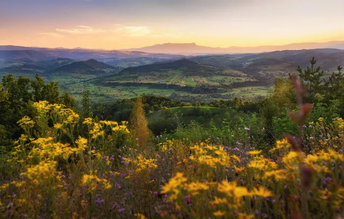 I Spent Summer In My Hometown Maramures, Which Looks Like A Fairy Tale (28 Pics)