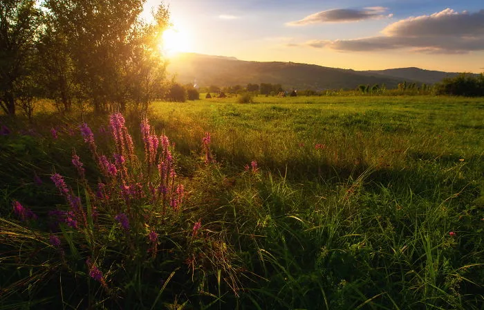 I Spent Summer In My Hometown Maramures, Which Looks Like A Fairy Tale (28 Pics)