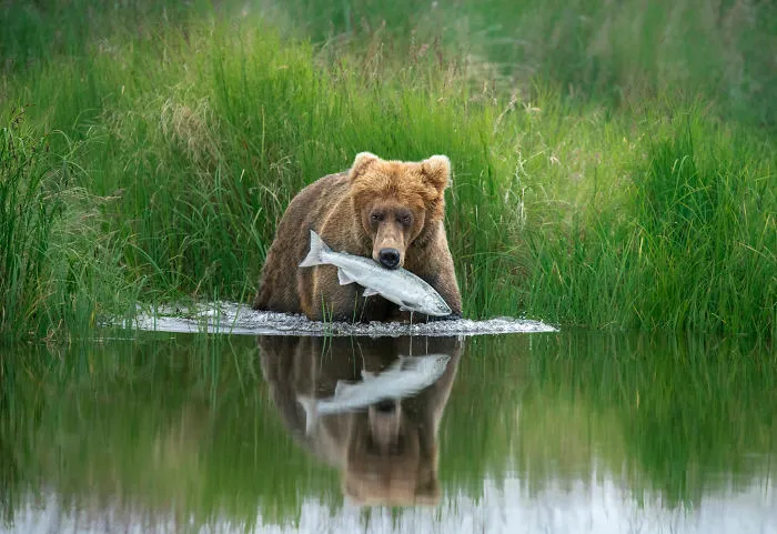 The Perfect Catch