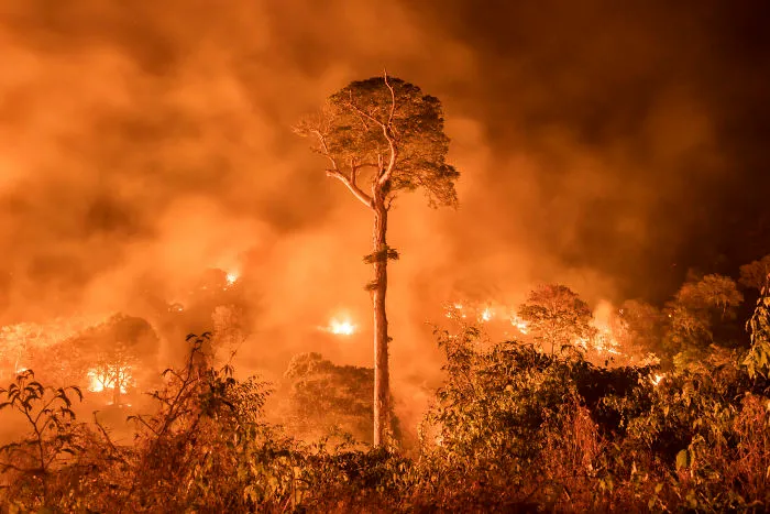 Amazon Burning