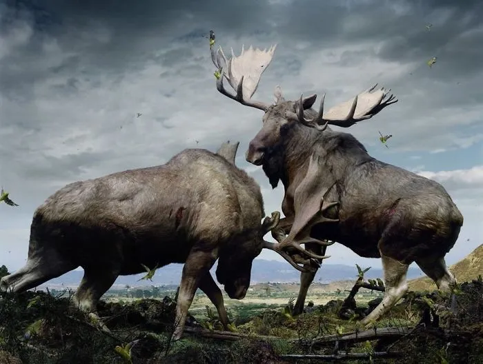 37 Surreal And Magical Animal Images By Simen Johan