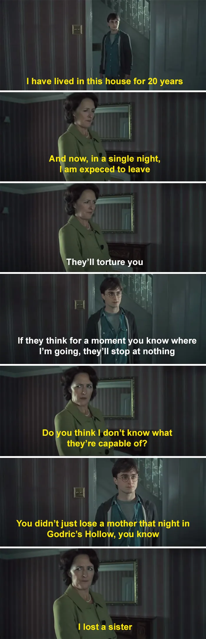 Aunt Petunia Reminds Harry She Lost A Sister