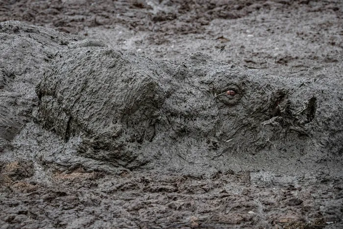 Eye Of The Drought