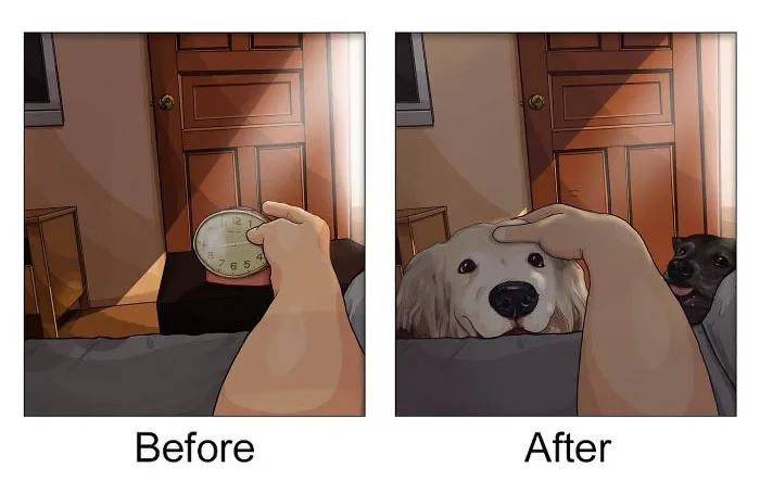 22 Life Changes That Happen After Getting A Pet