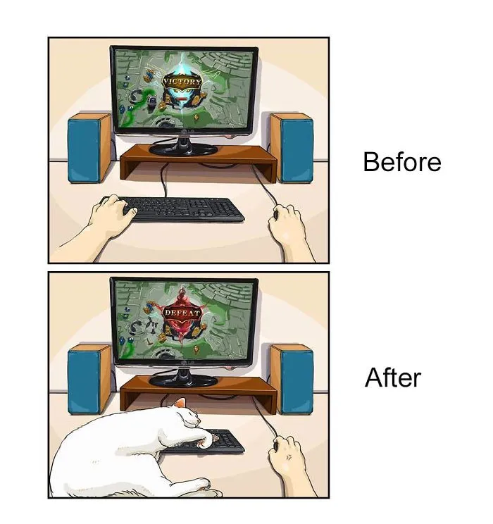 22 Life Changes That Happen After Getting A Pet