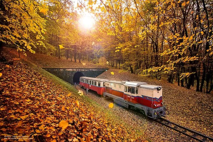 I Spent Five Years Taking Train Pictures In Exciting Places (65 Pics)