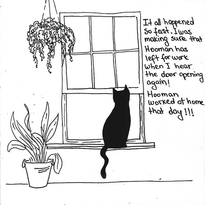 Artist Created These 33 Comics To Show His Cat's Life In Quarantine