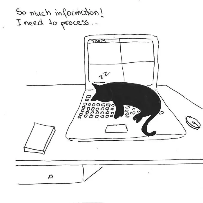 Artist Created These 33 Comics To Show His Cat's Life In Quarantine