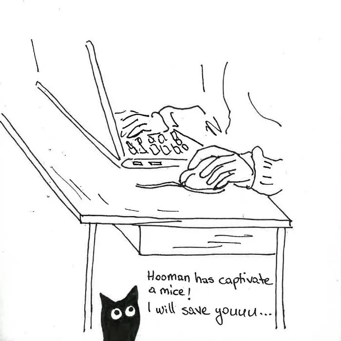 Artist Created These 33 Comics To Show His Cat's Life In Quarantine