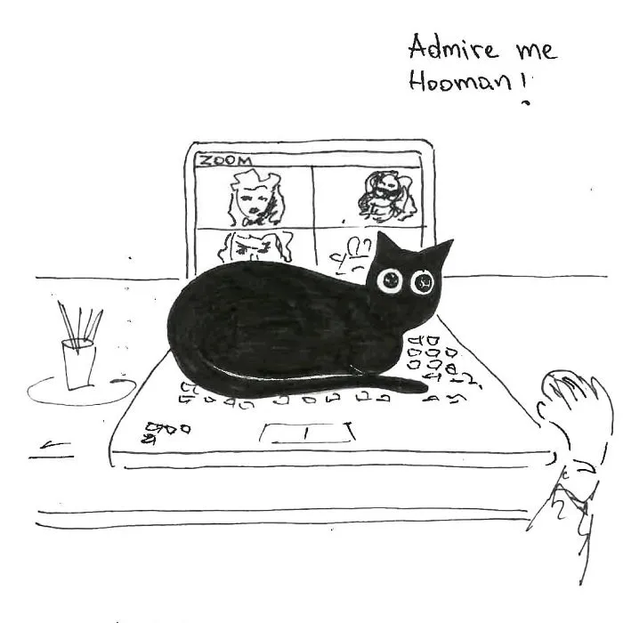 Artist Created These 33 Comics To Show His Cat's Life In Quarantine