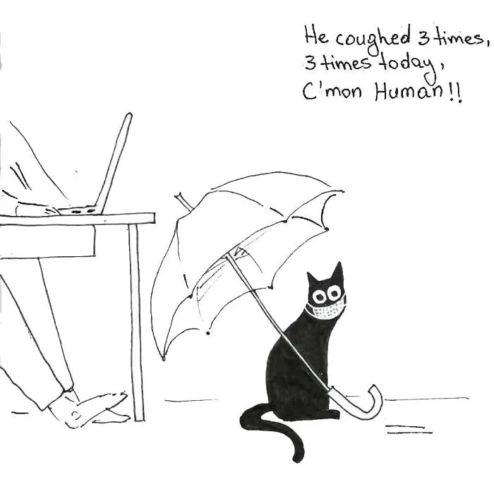 Artist Created These 33 Comics To Show His Cat's Life In Quarantine
