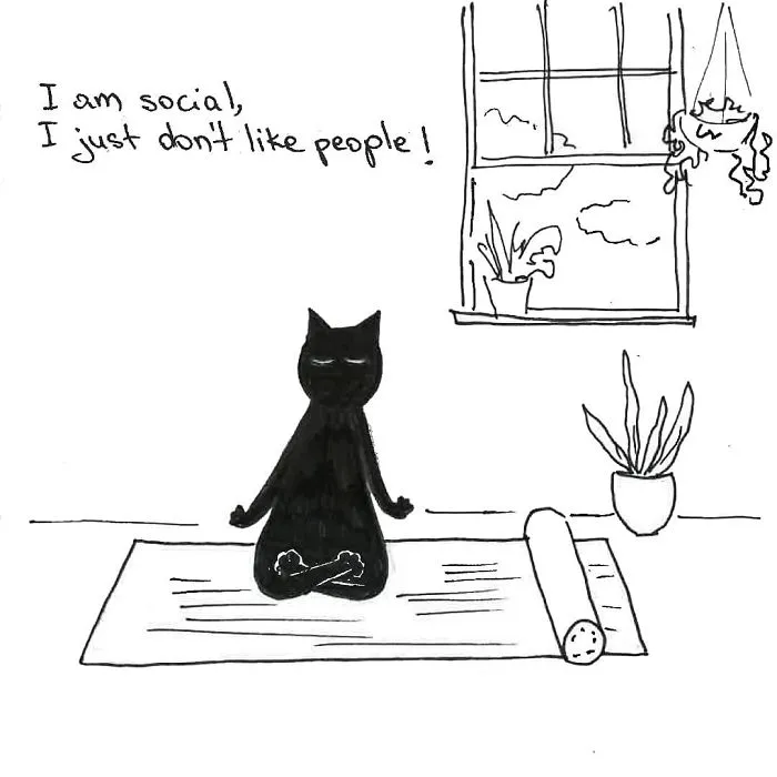 Artist Created These 33 Comics To Show His Cat's Life In Quarantine