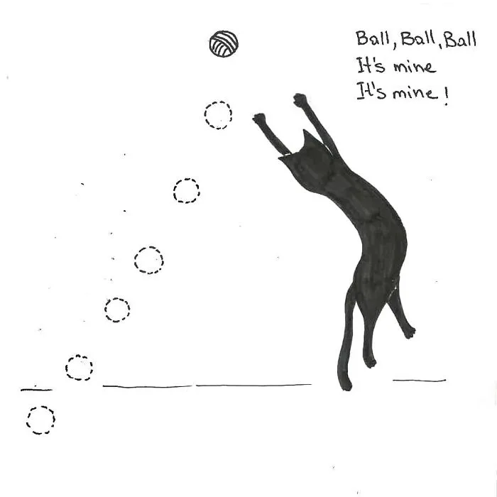 Artist Created These 33 Comics To Show His Cat's Life In Quarantine
