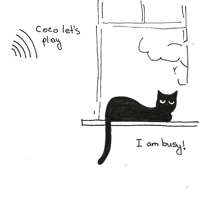 Artist Created These 33 Comics To Show His Cat's Life In Quarantine