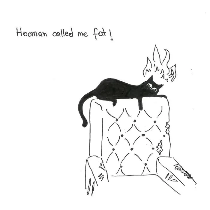 Artist Created These 33 Comics To Show His Cat's Life In Quarantine