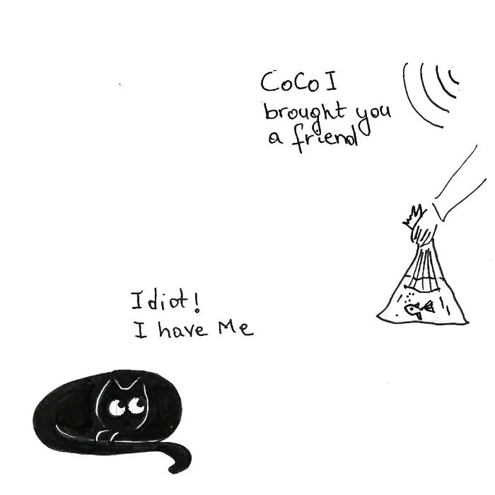 Artist Created These 33 Comics To Show His Cat's Life In Quarantine