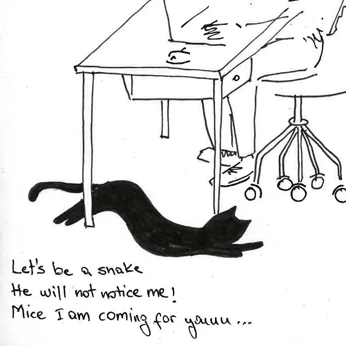 Artist Created These 33 Comics To Show His Cat's Life In Quarantine
