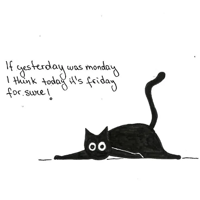 Artist Created These 33 Comics To Show His Cat's Life In Quarantine