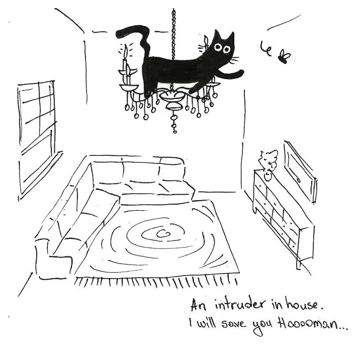 Artist Created These 33 Comics To Show His Cat's Life In Quarantine