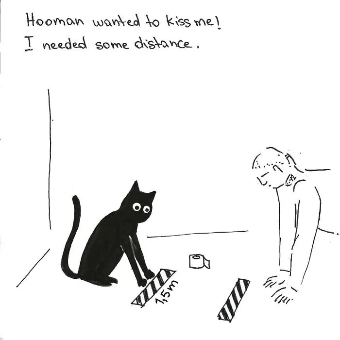 Artist Created These 33 Comics To Show His Cat's Life In Quarantine