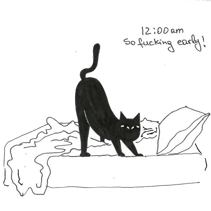 Artist Created These 33 Comics To Show His Cat's Life In Quarantine