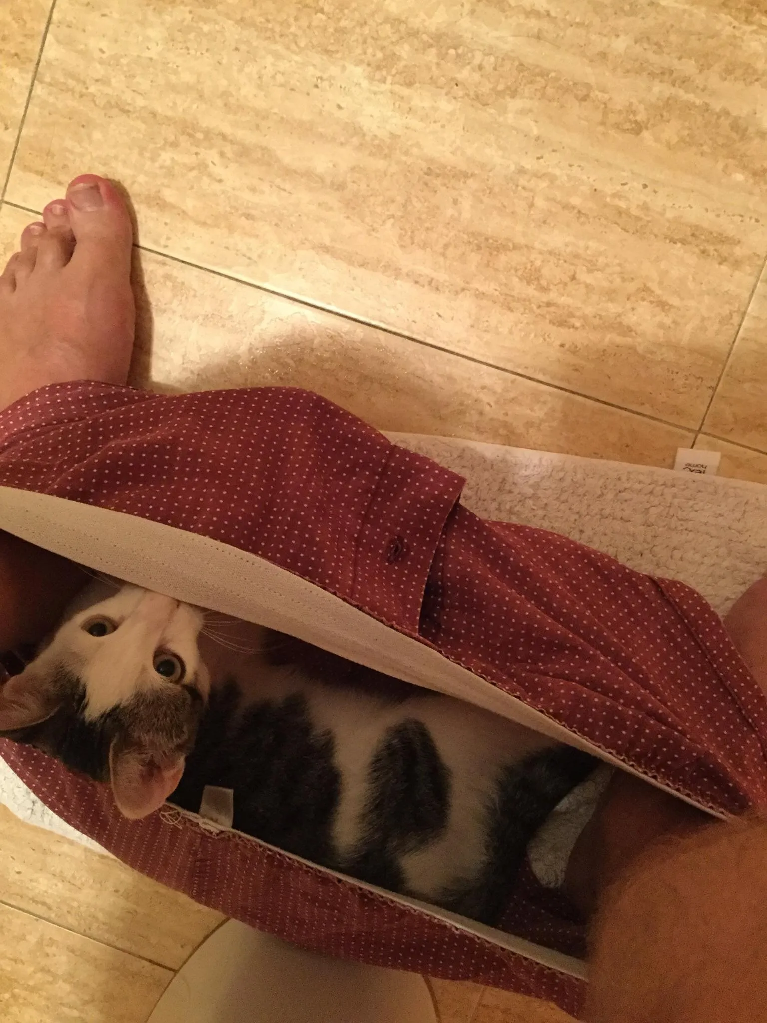 Little Simon Seeing What's So Nice About The Inside Of Big Simon's Boxer Shorts!