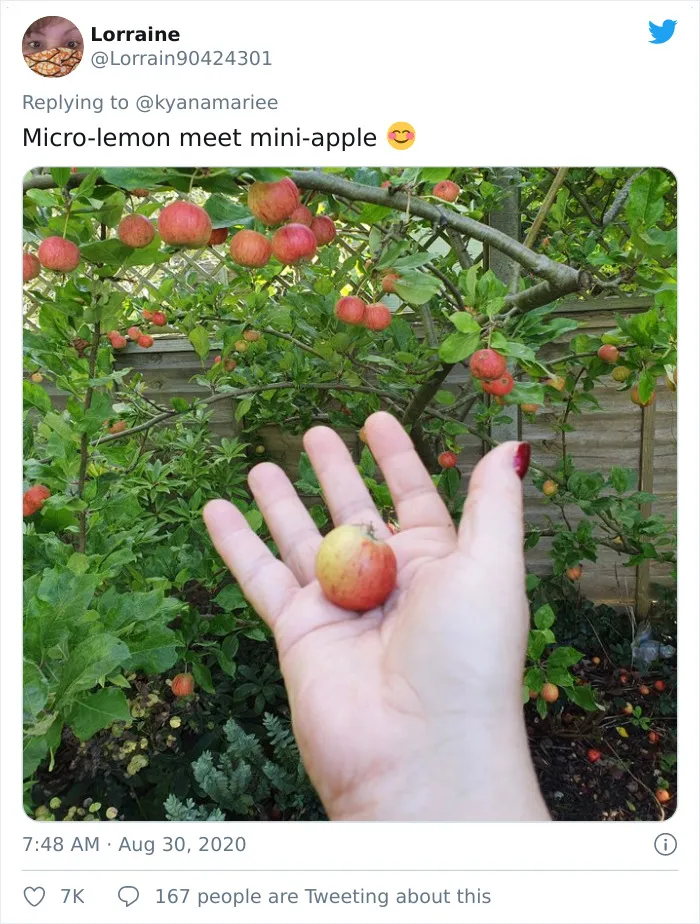 'Failed Harvest': People Are Sharing What They Failed To Grow In 30 Funny Pics