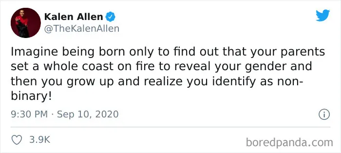 45 Of The Most Savage 'Gender Reveal Party' Memes After People Learned It Was The Cause Of An Apocalyptic Wildfire In California